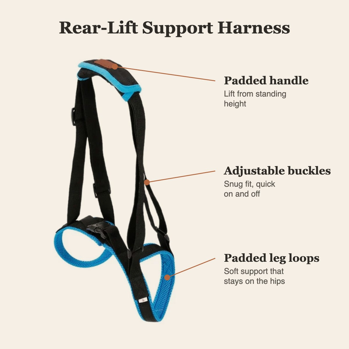 Rear-Lift Support Harness features: padded handle, adjustable buckles, padded leg loops
